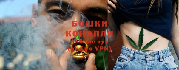 ALPHA-PVP Алексеевка
