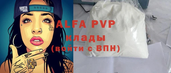 гашик Алексин