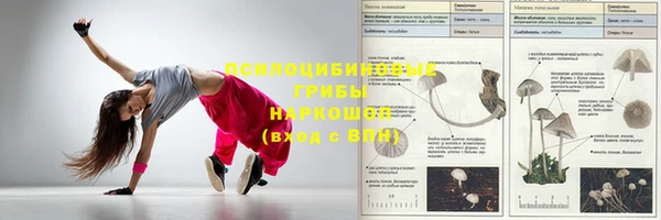 mix Абаза