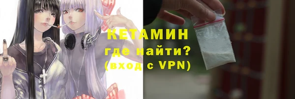 гашик Алексин