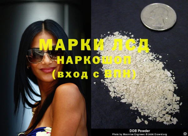 гашик Алексин